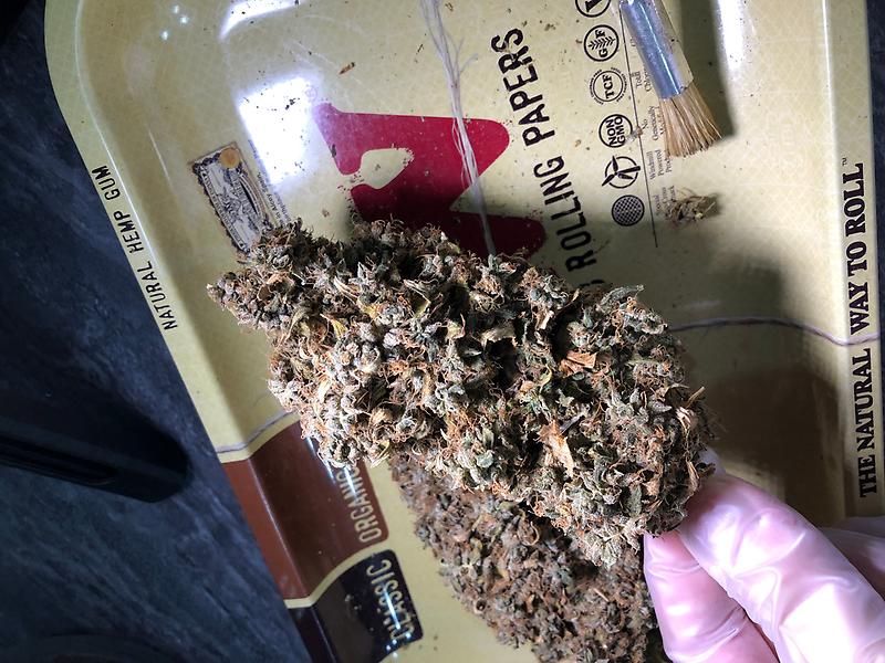 Wedding Cake (Cherry Pie x GSC x OG Kush)