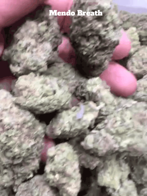 Cali Mids - Loose Import 🇺🇸