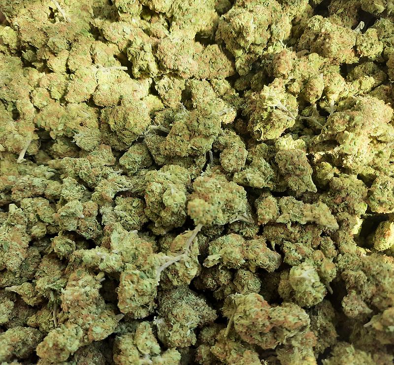 SHERBANGER 22 - 50/50 INDICA SATIVA - FREE TRACKED 24