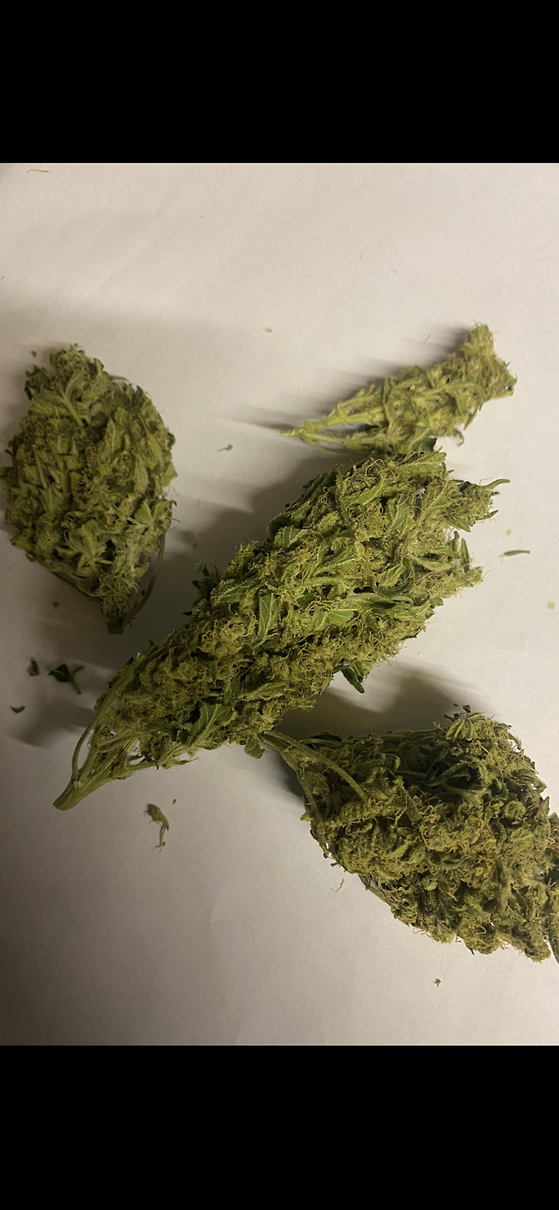 Grade B Super Lemon Haze