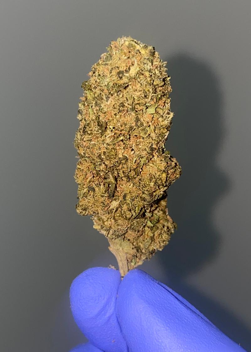 Tutti Fruitti Budget Sativa Dominant Bud - Old School