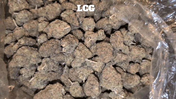 Top Shelf Exotics - Imported Loose Flower