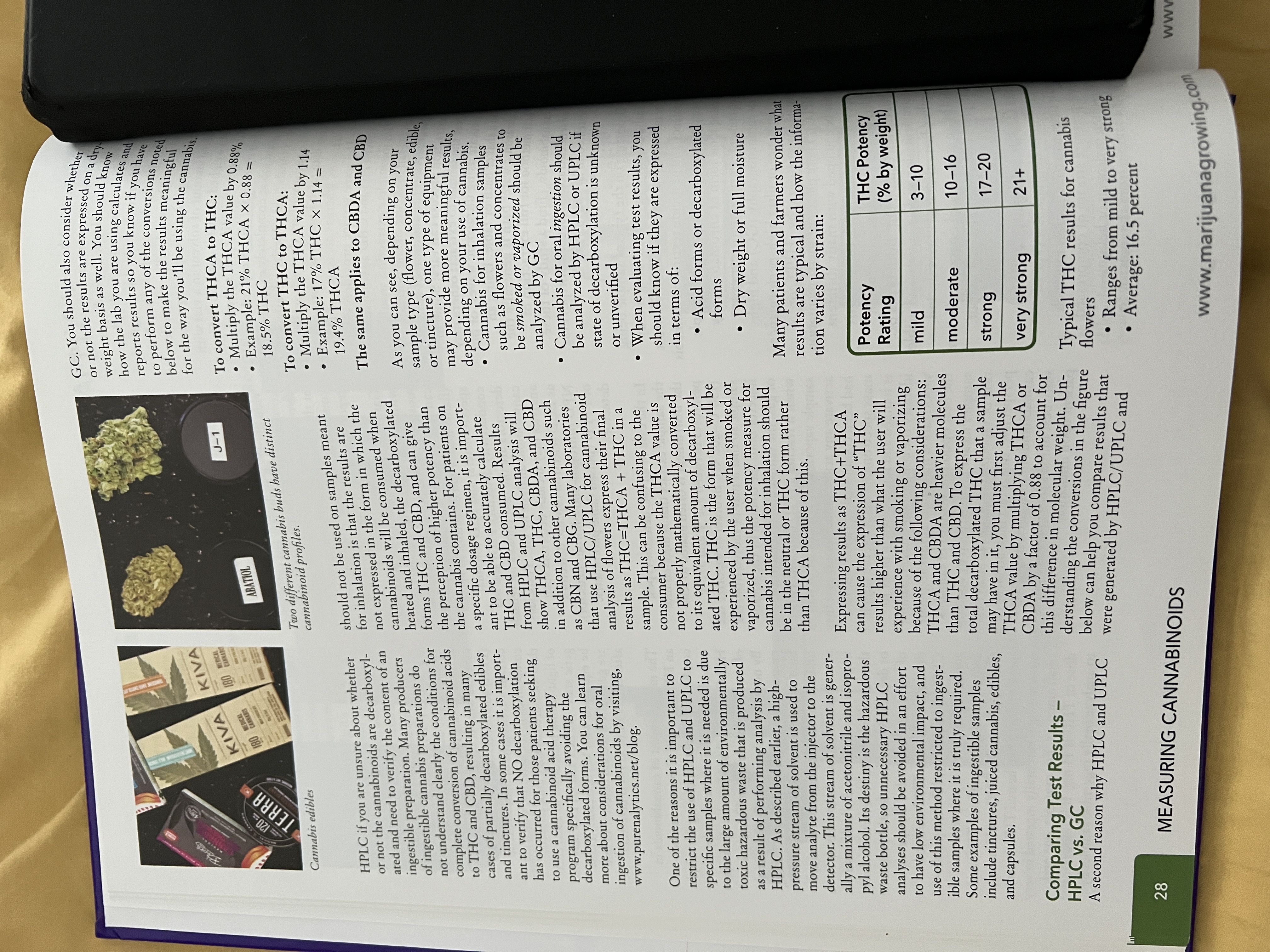 The Cannabis Encyclopaedia by J.C