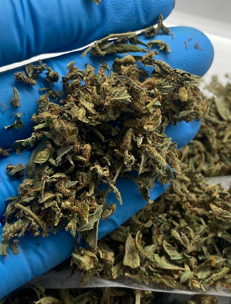 Gassy Dawgs Bollock’s Shake - Ultra Dank