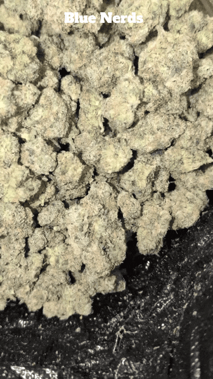 Top Shelf Exotics - Imported Loose Flower