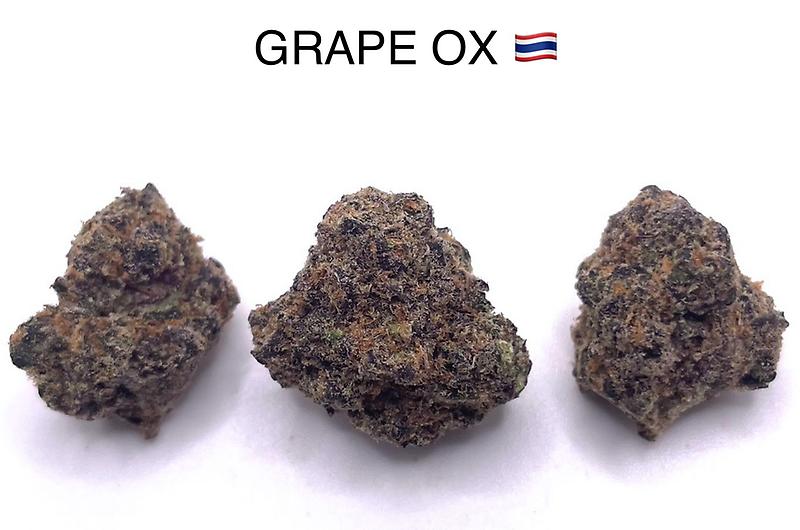 GRAPE OX