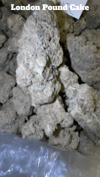 Cali Mids - Loose Import 🇺🇸