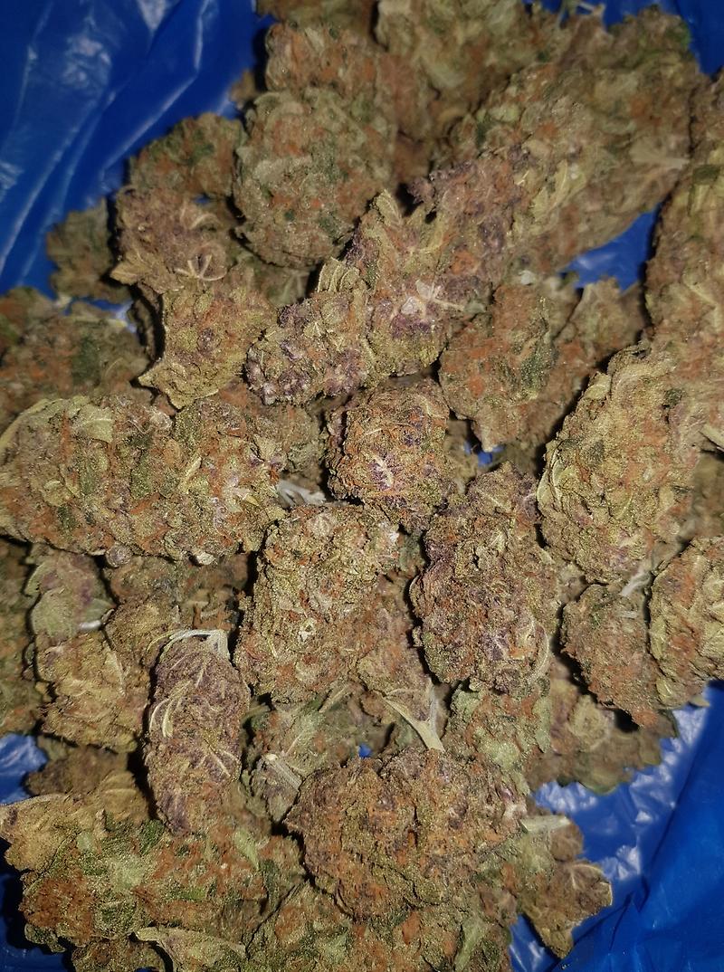 **PURPLE AMNESIA**
