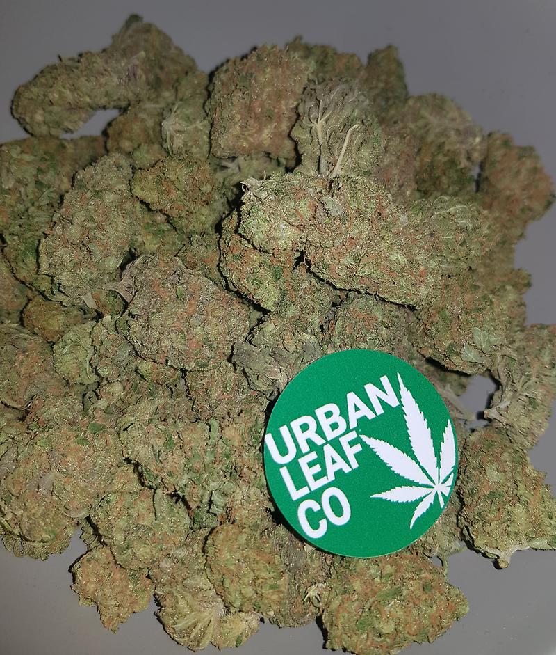 **LEMON ZEST (FREE RM 1ST CLASS POSTAGE)**