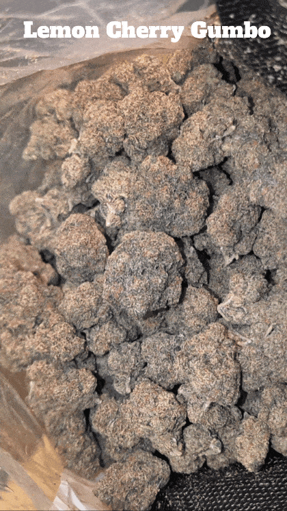 Top Shelf Exotics - Imported Loose Flower