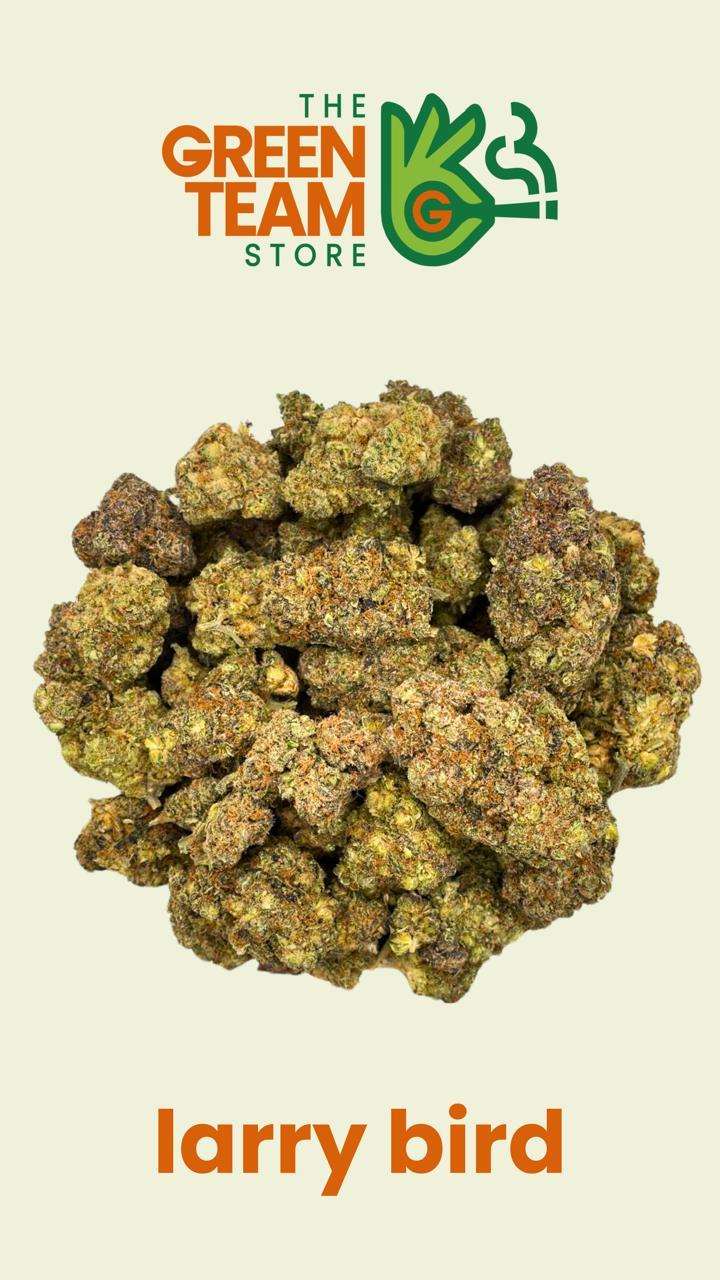 Larry Bird *Free Shipping*