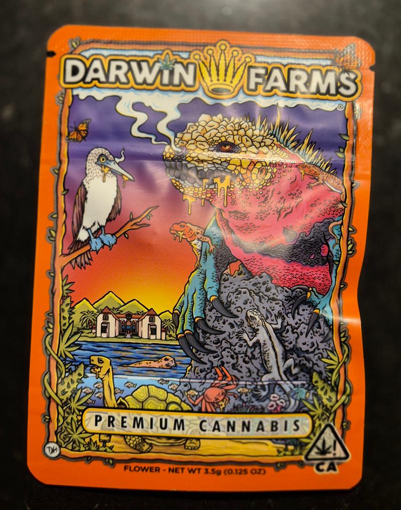 Darwin Farms - Gelato 41