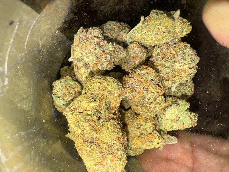 RS11 (Shipped from Spain)