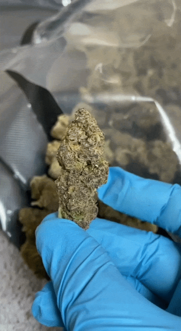 Fire Cali Listing *Free Shipping*