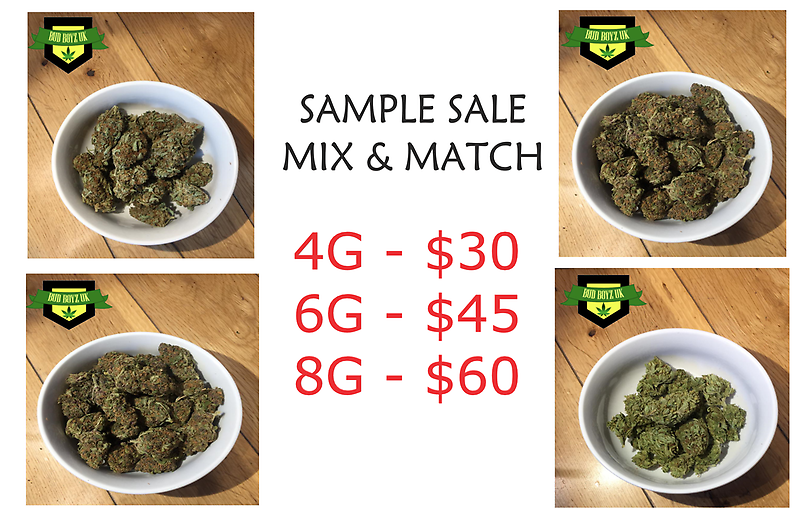 MIX & MATCH SAMPLE SALE