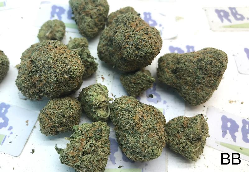 BUBBLE GUM MID SHELF CALI