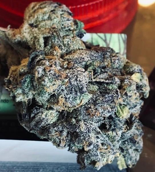 PURPLE PUNCH