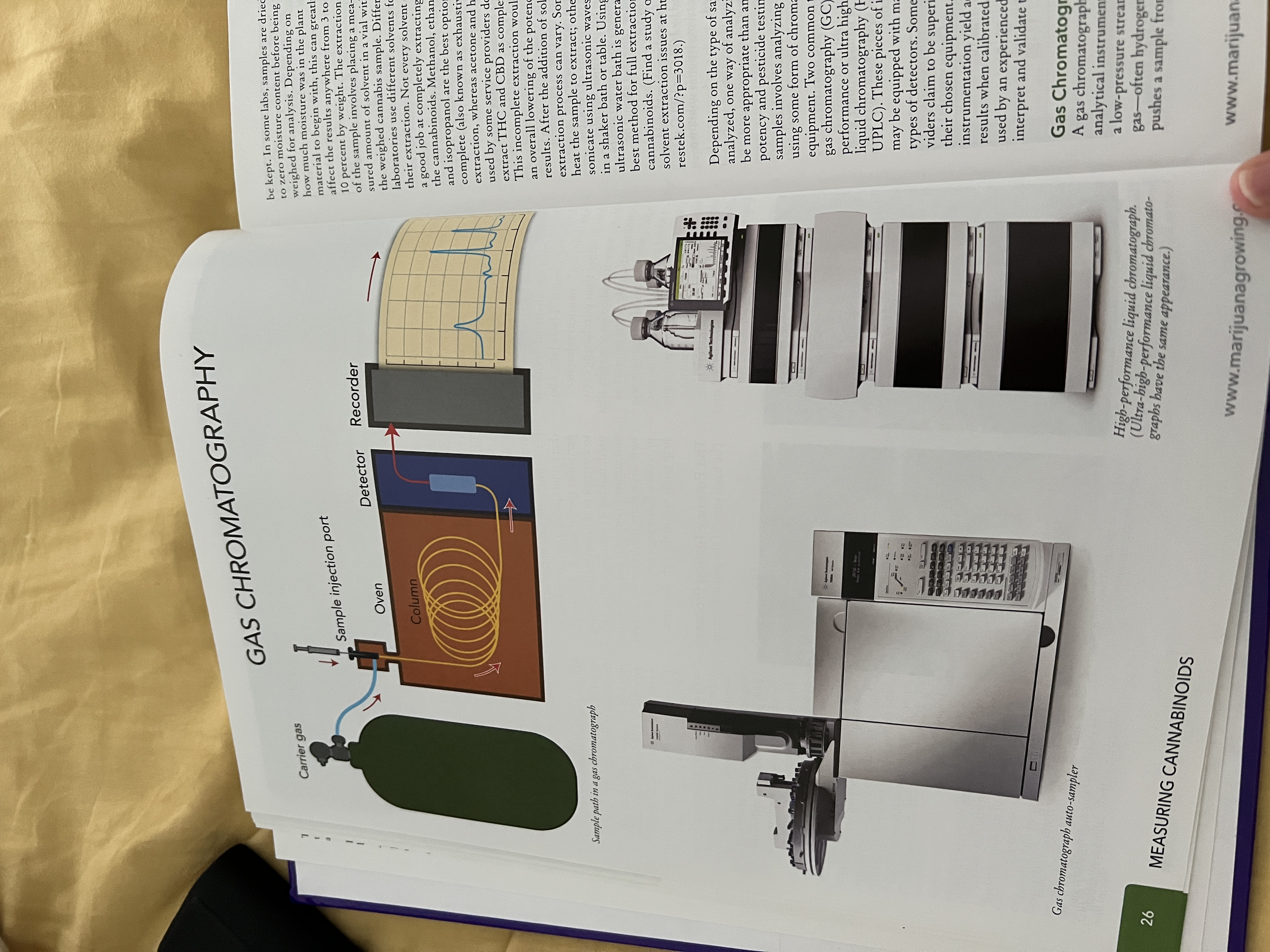 The Cannabis Encyclopaedia by J.C