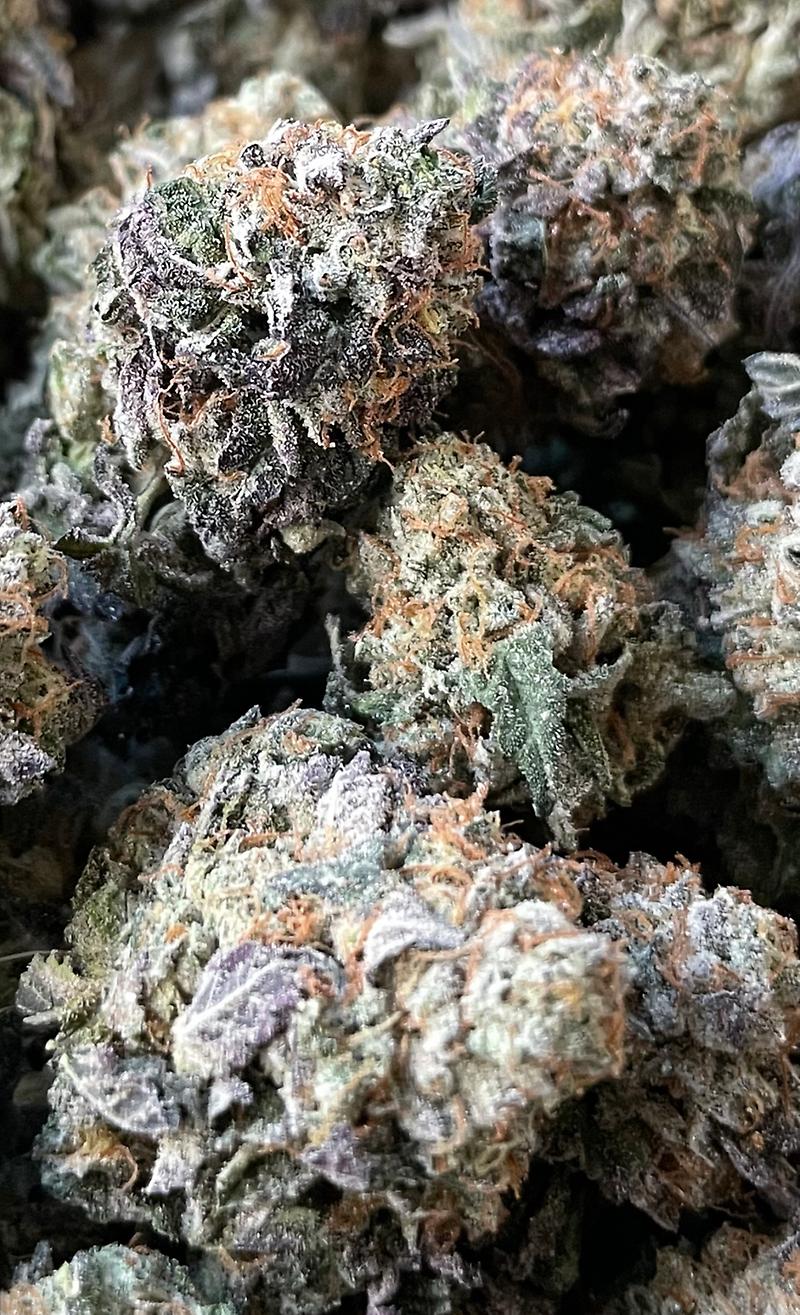 Glacier Glue UK Premium