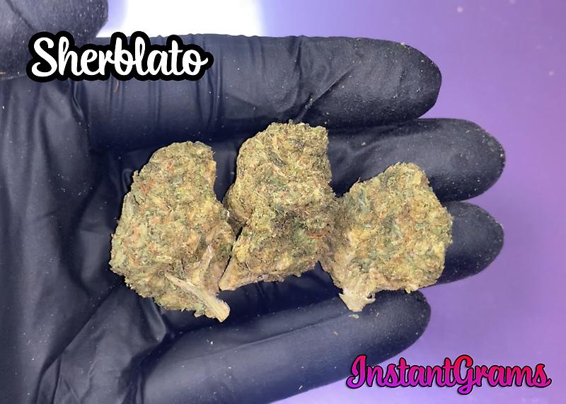 INSTANT Outdoor Cali Buds