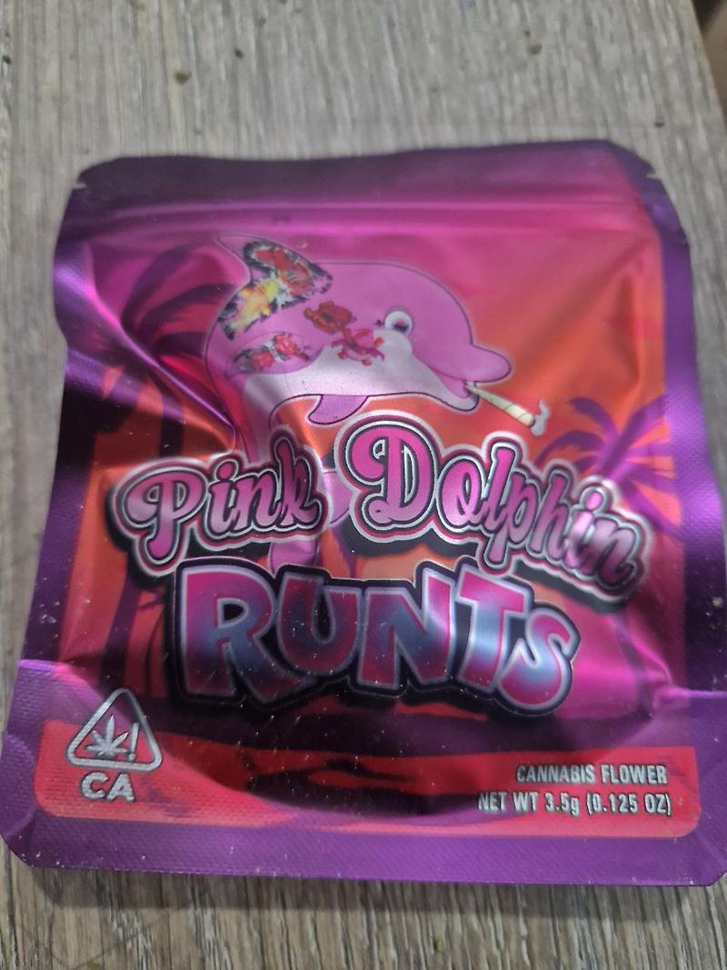 Pink Dolphin Runts