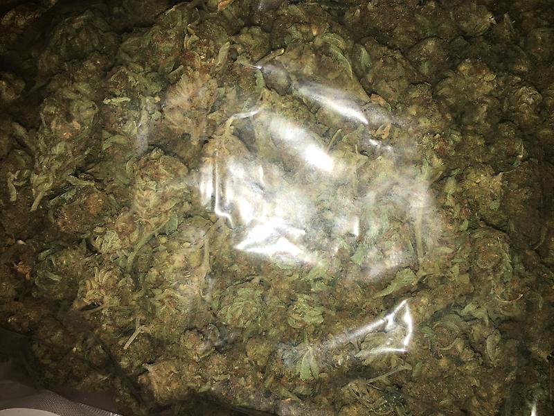 Ghost dawg - MrHublot Quality