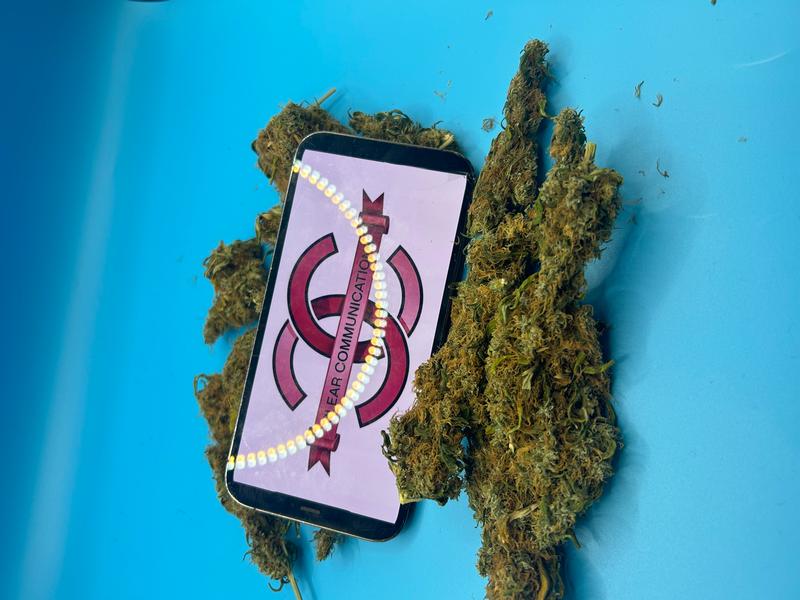 C+ Grade Cali Mid Lows | £65/28 ALL BUD NO DUST