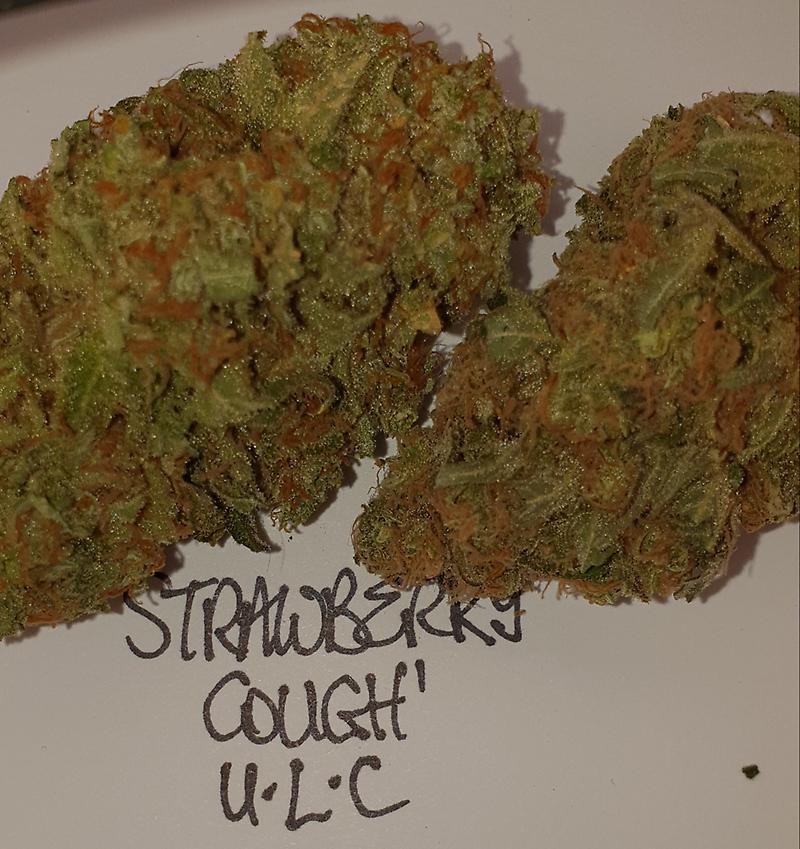 **2 STRAIN VARIETY PACK - (FREE RM 1ST CLASS) SC BG**