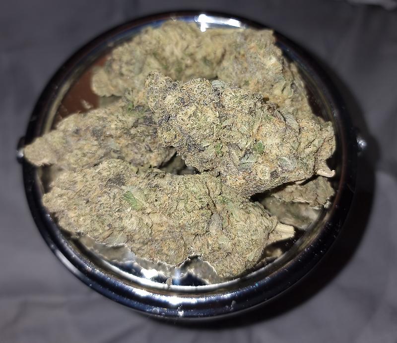 Gelato AKA Larry Bird