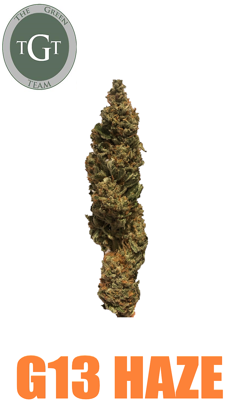 G13 HAZE