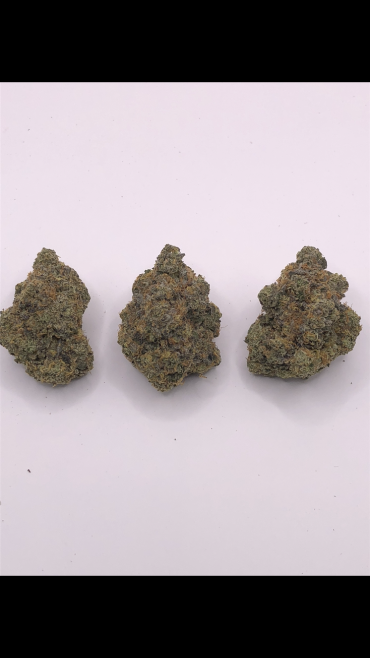 GARY PAYTON - EXOTICS