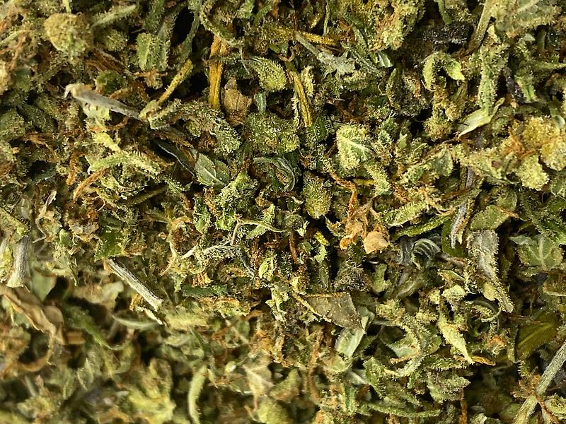 The Ultimate Shake Shack - Quality is King