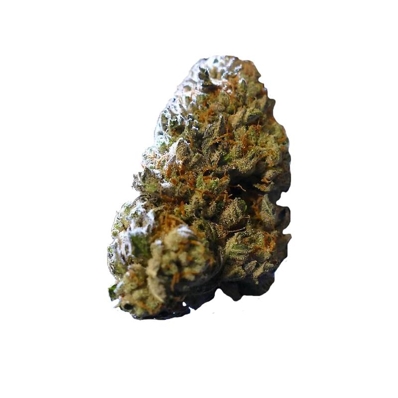 Divine Grade: Gorgeous Stardawg!