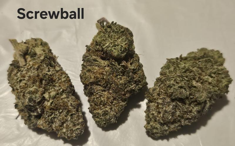 Make an oz for £160! ( Free T24 )