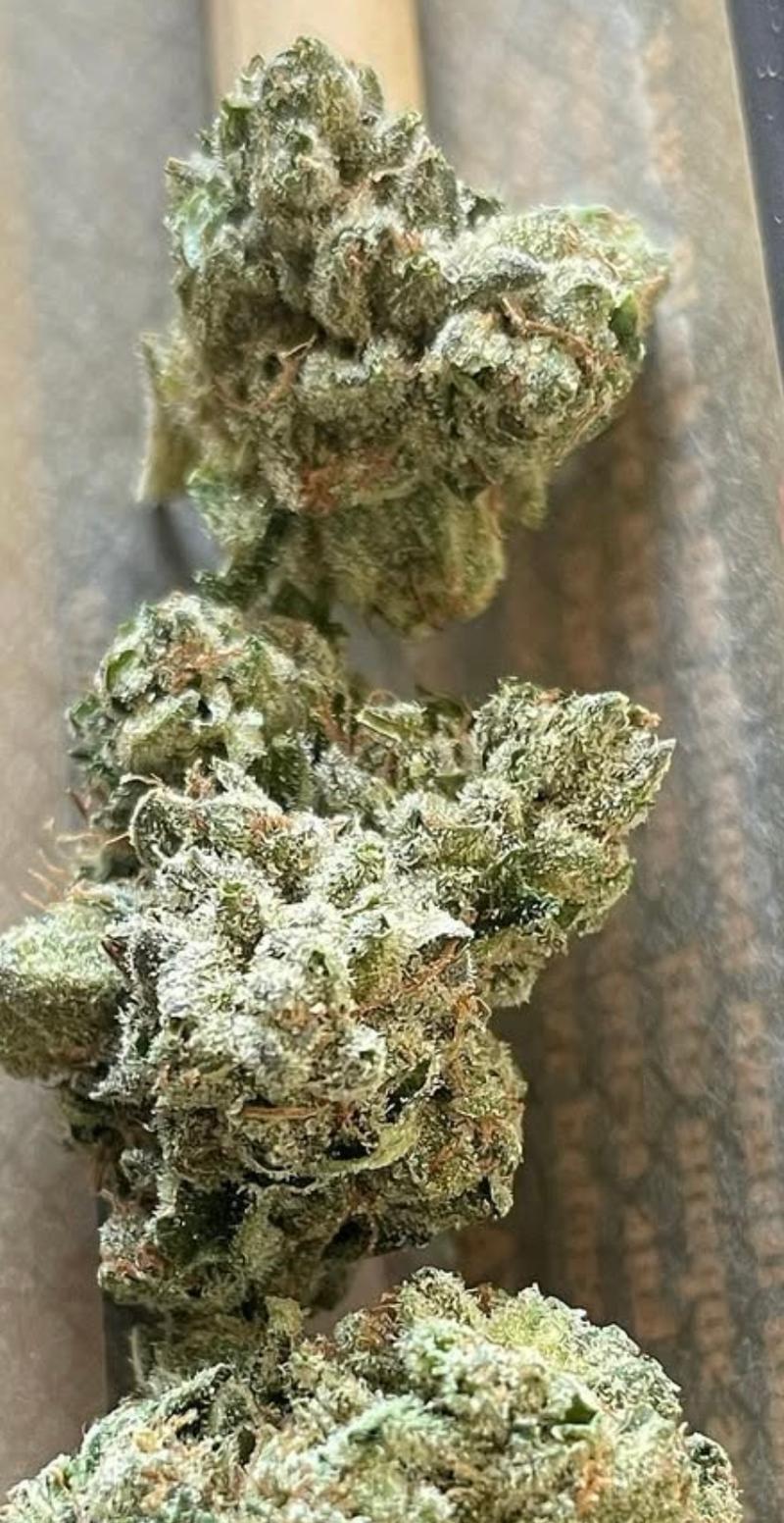 RS11 x RAINBOW SHERBERT