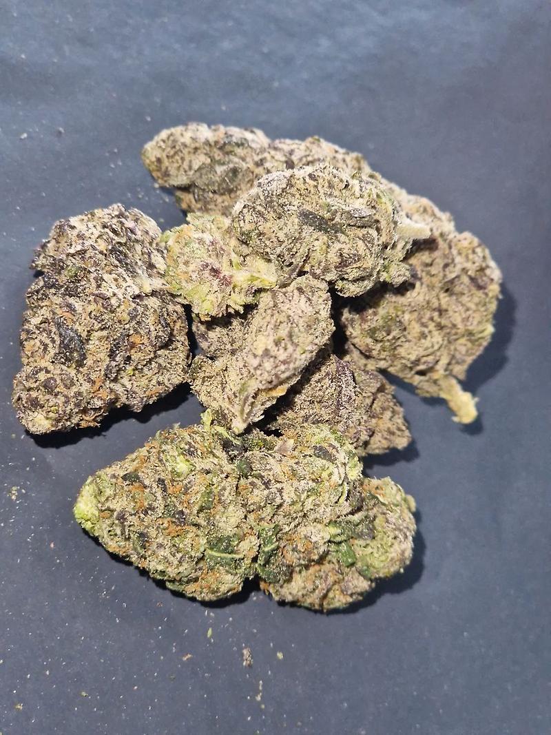 The Ten Co. Tropical Skilatti