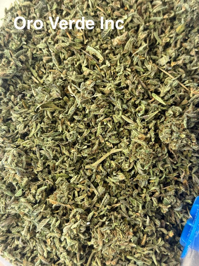 Popcorn buds / shake 🇬🇧