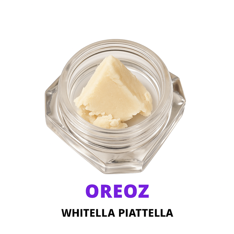 POUNDLAND’S PREMIUM HASH