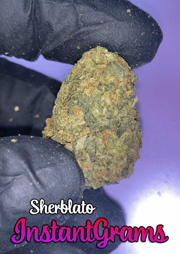 INSTANT Outdoor Cali Buds