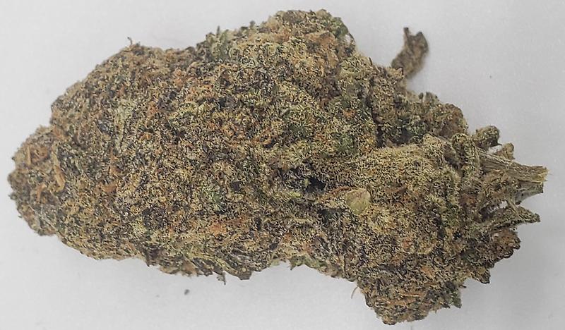 MOCHI GELATO (INDICA DOM)