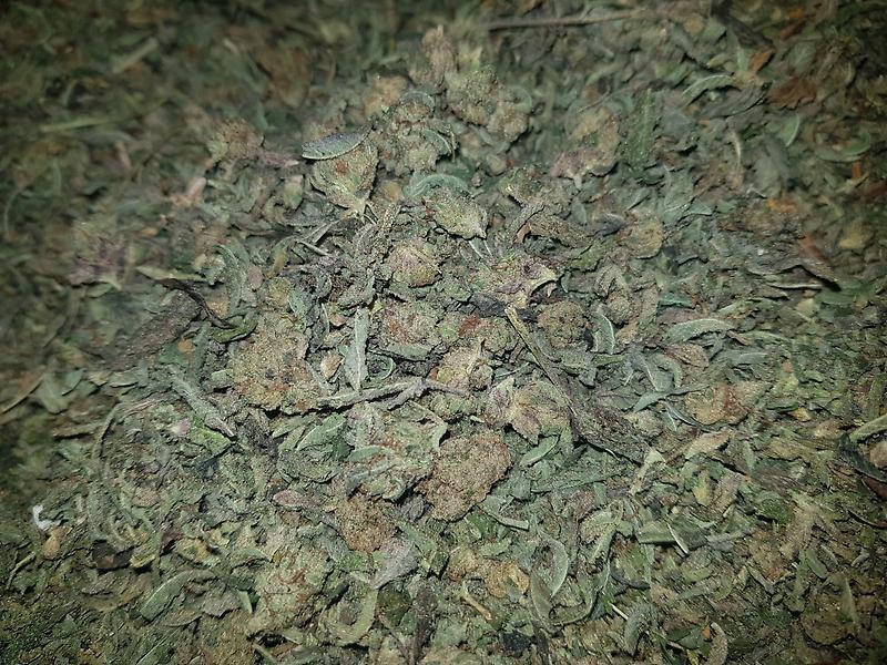 ***OG KUSH BUDSHAKE***