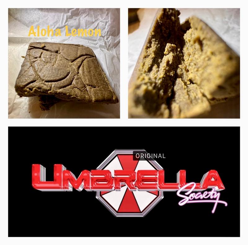 Umbrella Society 3X Dry Hashes