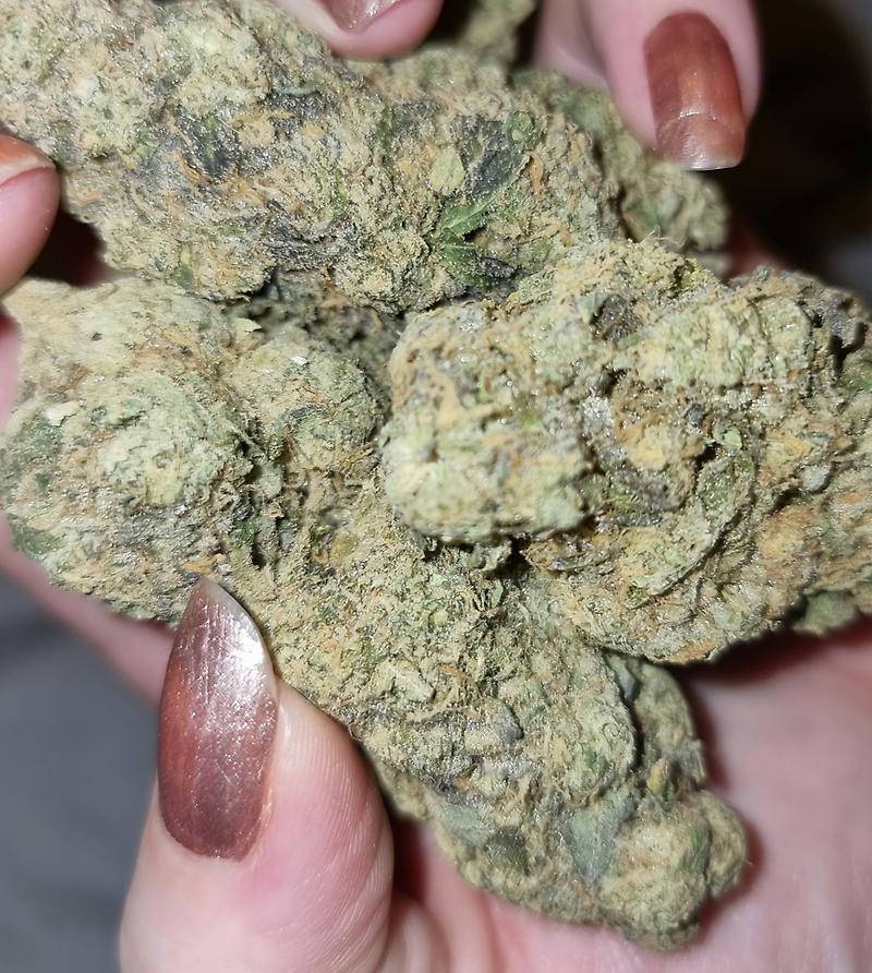 Gelato AKA Larry Bird