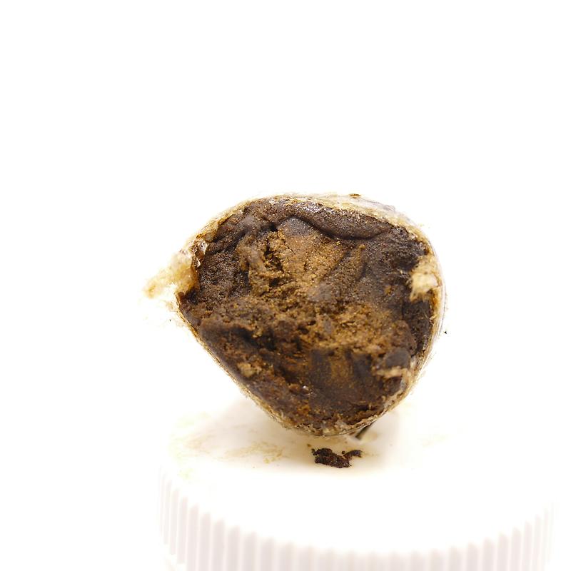 Divine: Moorish Morrocan Mountain Oily Pollen Eggs