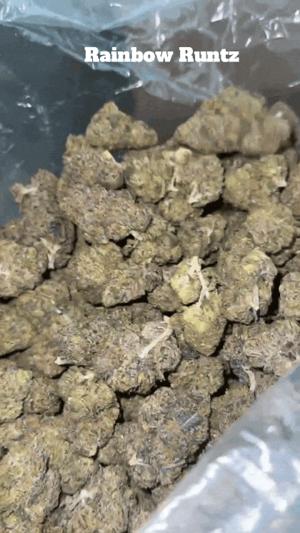 Top Shelf Exotics - Imported Loose Flower