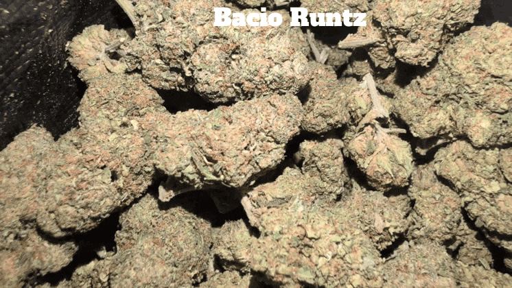 Cali Mids - Loose Import 🇺🇸