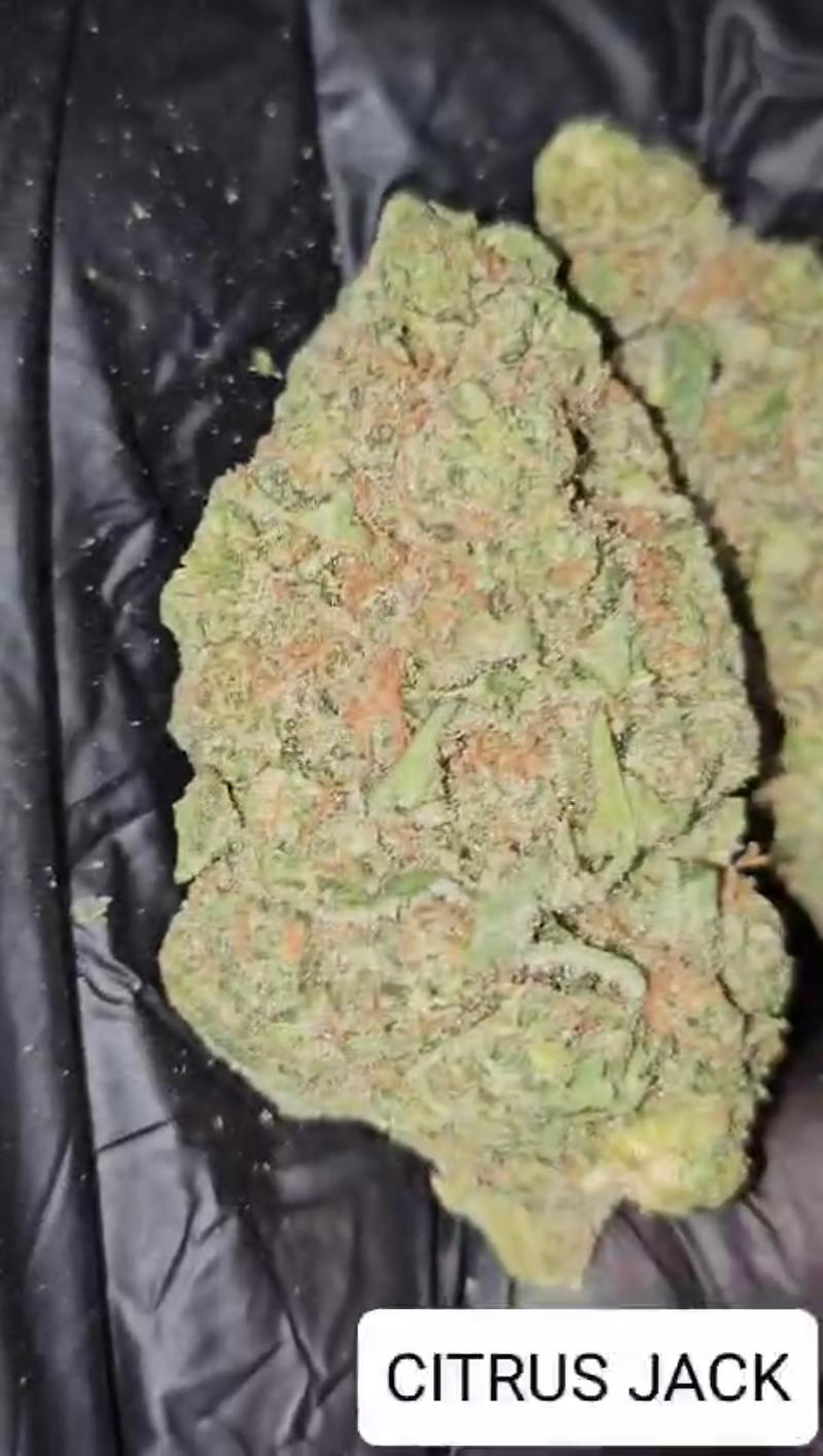 CITRUS JACK