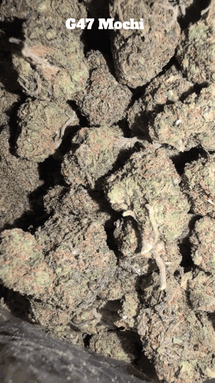 Cali Mids - Loose Import 🇺🇸