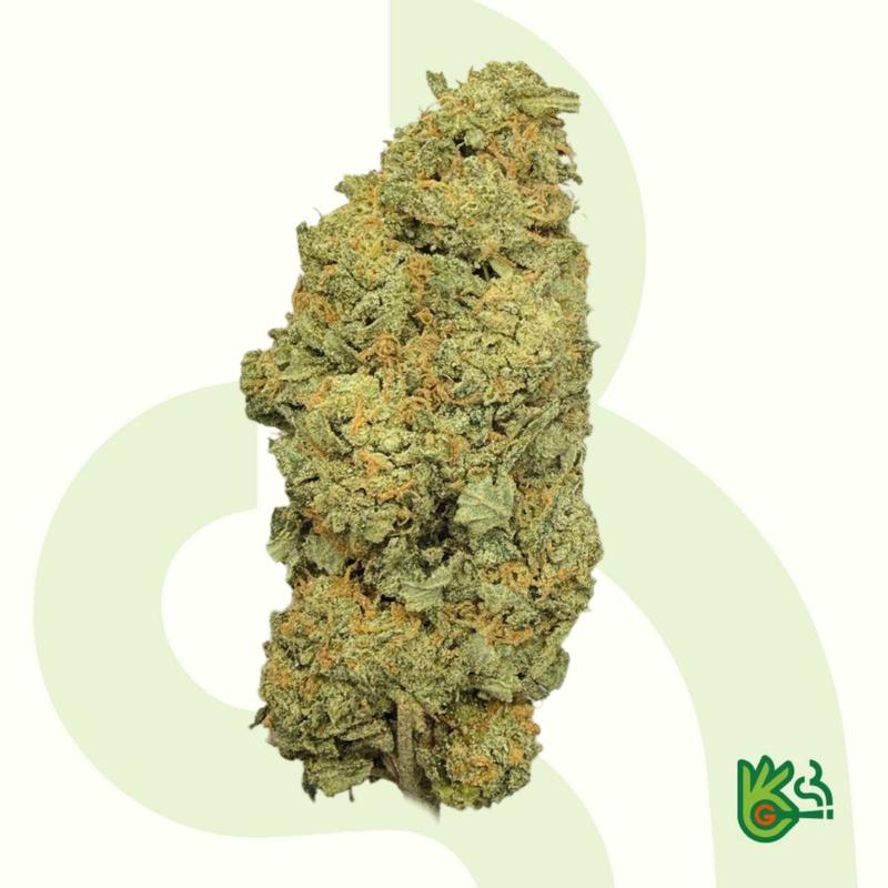 Biscotti *Free Shipping*