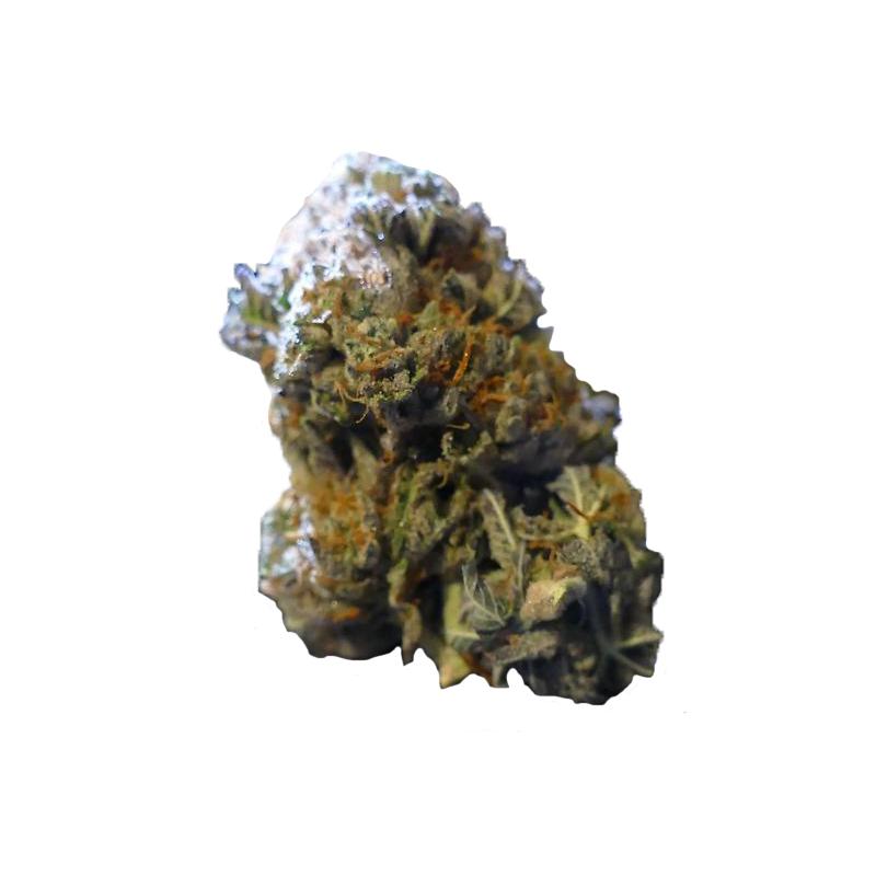 Divine Grade: Gorgeous Stardawg!